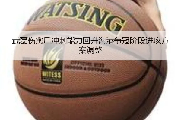 武磊伤愈后冲刺能力回升海港争冠阶段进攻方案调整 | LEWANSPORTS